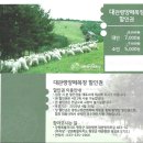 강애산애 | 2025년 평창 지역 입장할인권 안내입니다!^ㅁ^)/