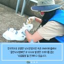 청호클린