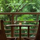 하코네스파 이미지