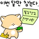 쥬니버스 이미지