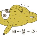 분99 이미지