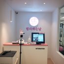 필라하는날서울대