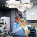 이지훈동물병원 이미지