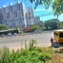 선산대로-86 이미지