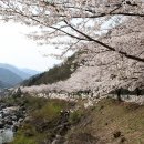 쌍계사 - 1839 | 쌍계사