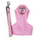 펫스타일 이미지