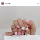 포그네분식