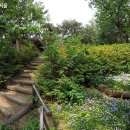 우장산 힐링센터 이미지