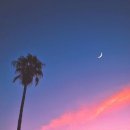 달이 떴다고 전화를 주시다니요 이미지