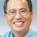 로뎀나무 이미지