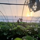 태형농장 이미지