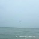 제부리 비치 콘도 | 색다른 제부도 가족여행❤️