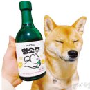 피자세상 이미지