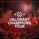 팀피(TEAM-P) 이미지