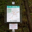 빈계산에서 금수봉과 도덕봉까지 연계 산행 후기