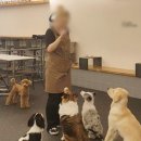 소원 반려동물 아카데미 | 애완동물관리사 자격증 취득 후 취업함 유기견 보호소 후기