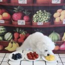 멍더가든 이미지