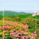 2023년 제15회 대한민국청소년트로트가요제 | 2023 단양 소백산철쭉제에 대한 모든 것 기간 장소 주요행사 등