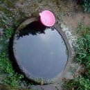 내돈내면 이미지