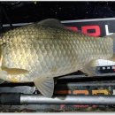 삼성낚시터 이미지