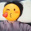 자목 | 역C자목베개 바꾸고 통증 사라진 썰(후기)