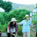 오도이촌 이미지