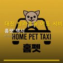 대전 반려동물 이동 서비스 홈펫 택시 기본 요금 10,000원으로 이용 가능