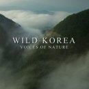 월드코리아필름 일간스포츠
