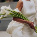 5572 | 촬영용 부케 업체 비교 후기｜ANNWN(아눈플라워)·afs·포울(POUR)·스튜디오 선심(SUNSIM)·소마달...