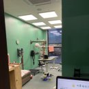 미용해주개 이미지