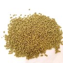 정이안한의원 이미지