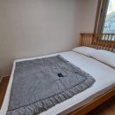 쫑이와메리 이미지