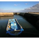 제주와서 이미지