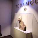 토담골49번지 이미지