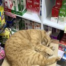 환희약국 이미지