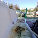 놀부왕만두 이미지