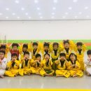 경희대 호림 태권도장 이미지