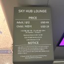 스카이허브 이미지