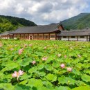 하천(금강2) | 완주 송광사 - 완주 송광사 대웅전 · 완주 송광사 종루 · 송광사 일주문 · 완주 송광사 금강문