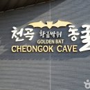 동해웰빙레포츠타운 이미지