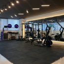 고트스트레칭&피티 이미지