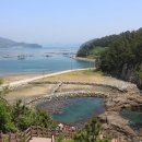 학림도 Daum카페