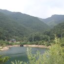 용호상사 이미지