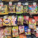 레오나르도 | [비엔나] 레오나르도 쇤브룬 호텔, 내돈내산 숙박 후기