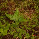 예우농장 이미지