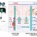의료법인 큰빛의료재단 이미지