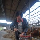 김철수농장 이미지