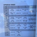 한솔동 아침뜰 축구장 | 화천 산천어축제 얼음낚시 오픈런 예약꿀팁 복장 준비물