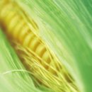 여인담한의원 이미지