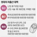 &#39;회당 100만원&#39; 난임 시술비 무제한 지원…현대차의 &#39;파격&#39; 이미지